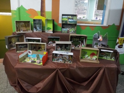 Las -warstwowa budowa i jego mieszkańcy . 