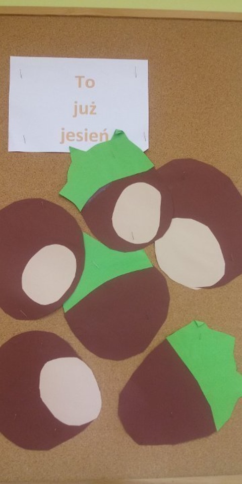 Drugie wydarzenie z okazji tygodnia kodowania w IIb.