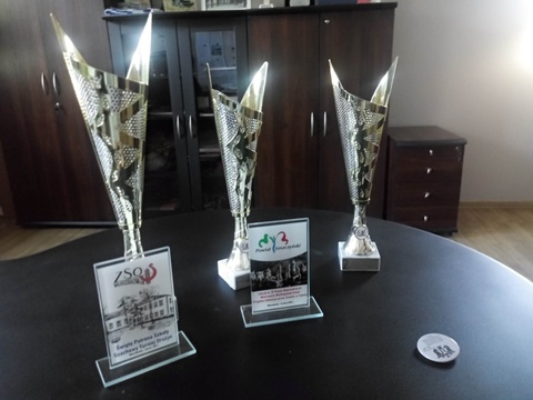 IV Finał Mistrzostw Wielkopolski  Szkół Projektu EpSwS - klasy młodsze.