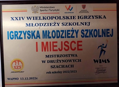 Mistrzowie Wielkopolski z naszej szkoły.