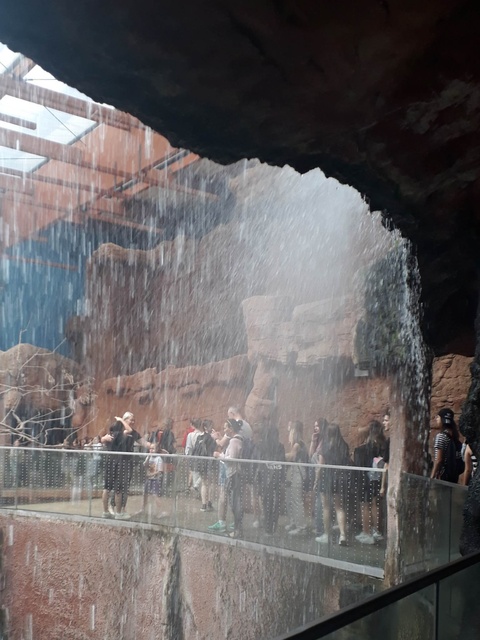 Wycieczka licealistów do wrocławskiego zoo.