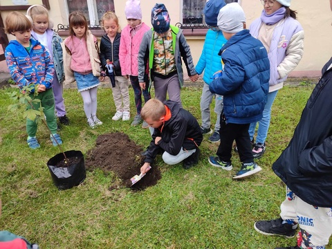 Światowy Dzień Drzewa