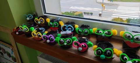 Klasowy ogródek na parapecie w kl. 1a