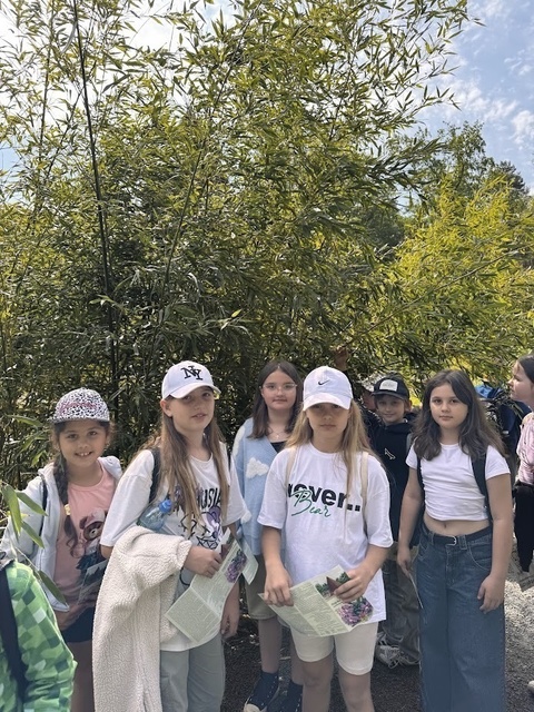 Wycieczka do Zielonej Góry klas 3a i 3b