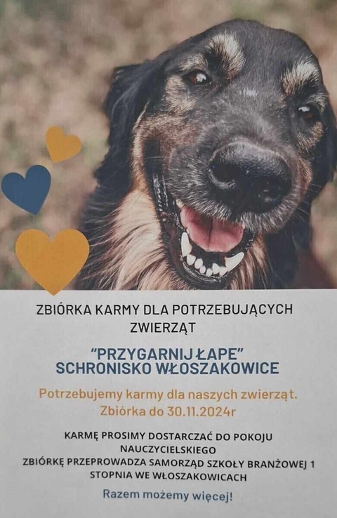 Zbiórka karmy dla zwierząt w potrzebie.