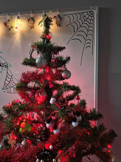 Eurovision Christmas Edition 2024