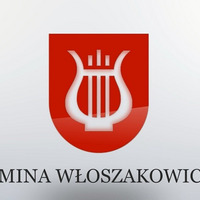 Wybory do Młodzieżowej Rady Gminy Włoszakowice.