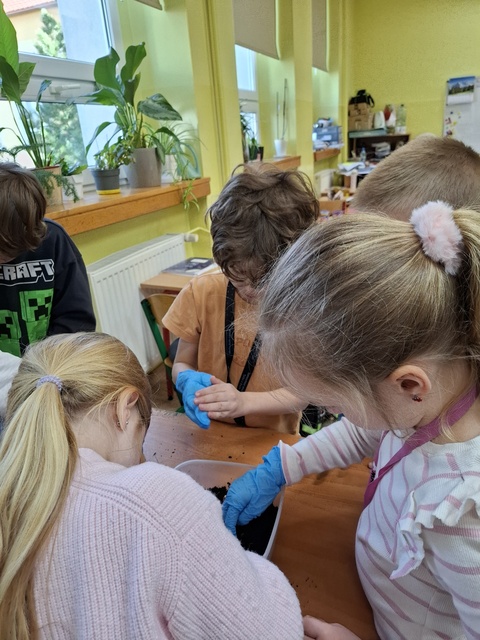 Klasowy ogródek w 1b